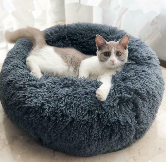 Good Pet Bed with Custom Box - myETYN