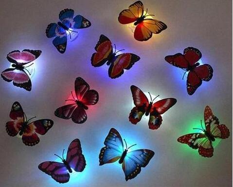 Butterfly led night light x12 - myETYN