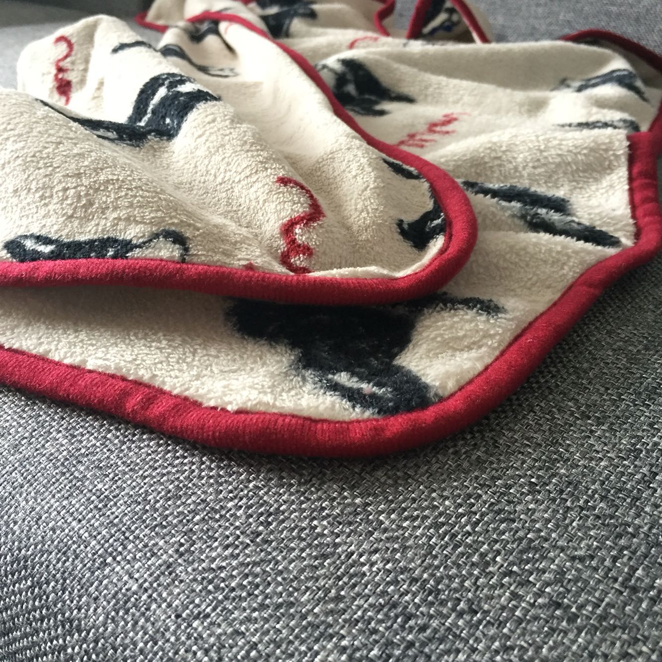 Cute Farley Blanket for Dogs