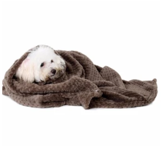 Pure Cotton Blanket for Pets