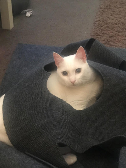 Cat hole blanket
