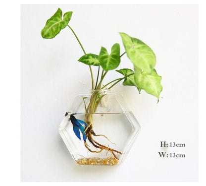 Fashion Wall Hanging Glass Flower Vase Terrarium Wall Fish Tank Aquarium Container Flower Planter Pots Home Garden Decoration