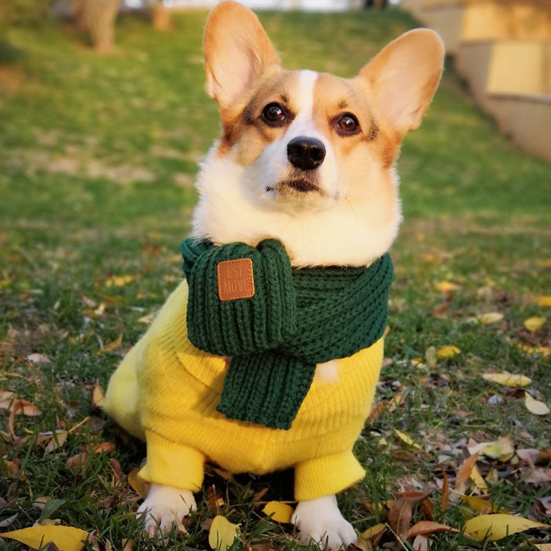 Dog Scarf Fighting Corgi Teddy Bichon Scarf myETYN