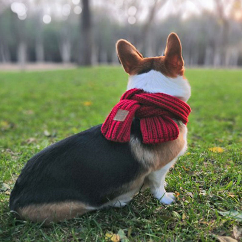 Dog Scarf Fighting Corgi Teddy Bichon Scarf myETYN