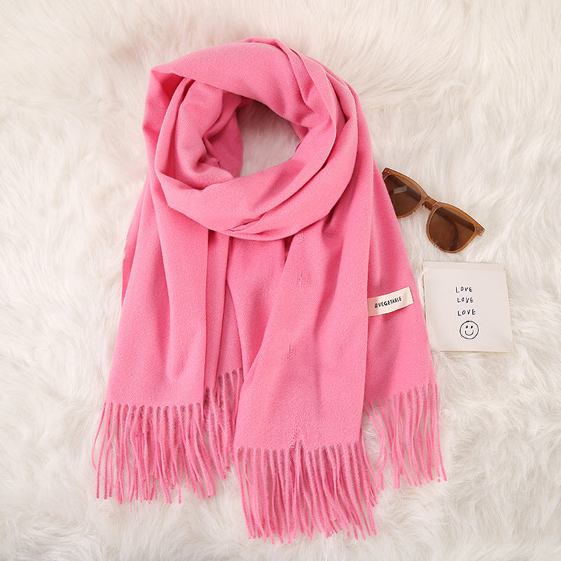 Women's Stylish Double-Sided Cashmere Tassel Scarf myETYN