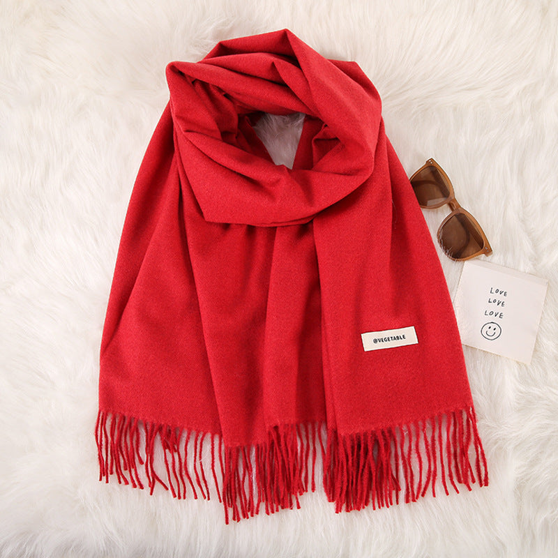 Women's Stylish Double-Sided Cashmere Tassel Scarf myETYN