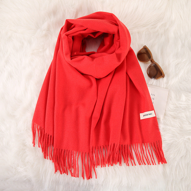 Women's Stylish Double-Sided Cashmere Tassel Scarf myETYN