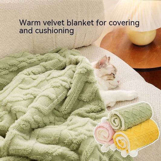 Pet Blanket Ins Style Solid Color Cat Supplies Pet Products - myETYN