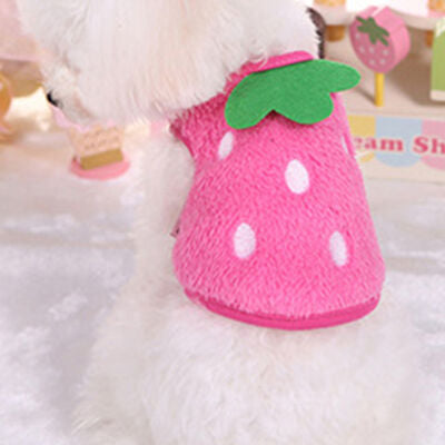 Fuzzy Thermal Pet Costume - myETYN